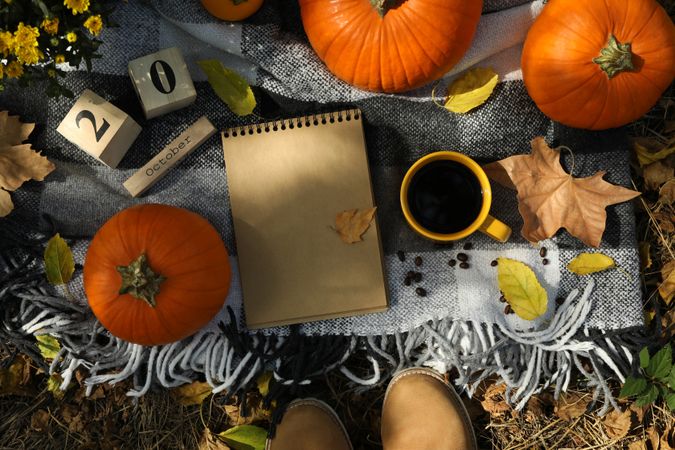 Cozy autumn concept with pumpkins outdoor, top view