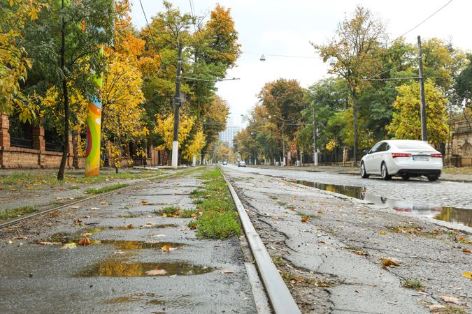 Rainy, autumn, city park in the morning