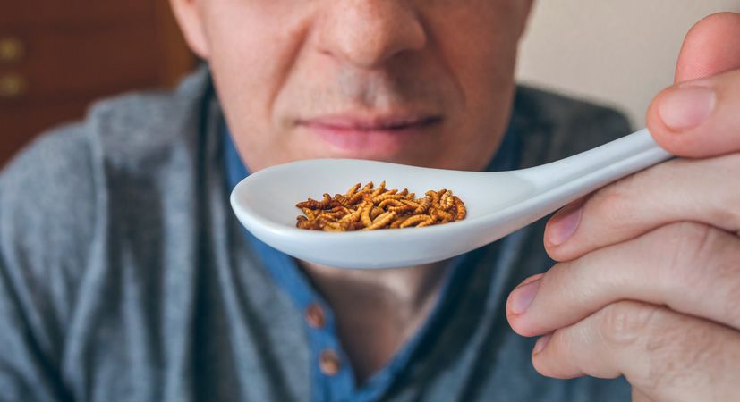 Man showing a spoonful of worms