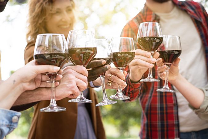 Friends toasting with red wine glasses over a meal on a party outdoors