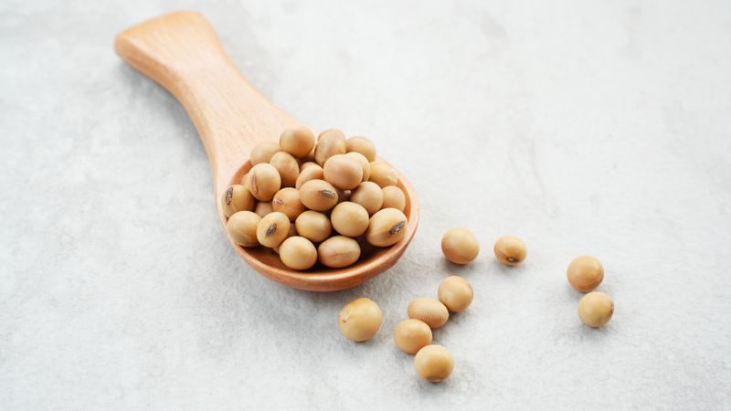 Kacang Kedelai or Soybean seeds, food ingredients