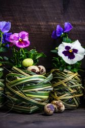 Easter holiday card concept with palms making pot for flowers and speckled eggs