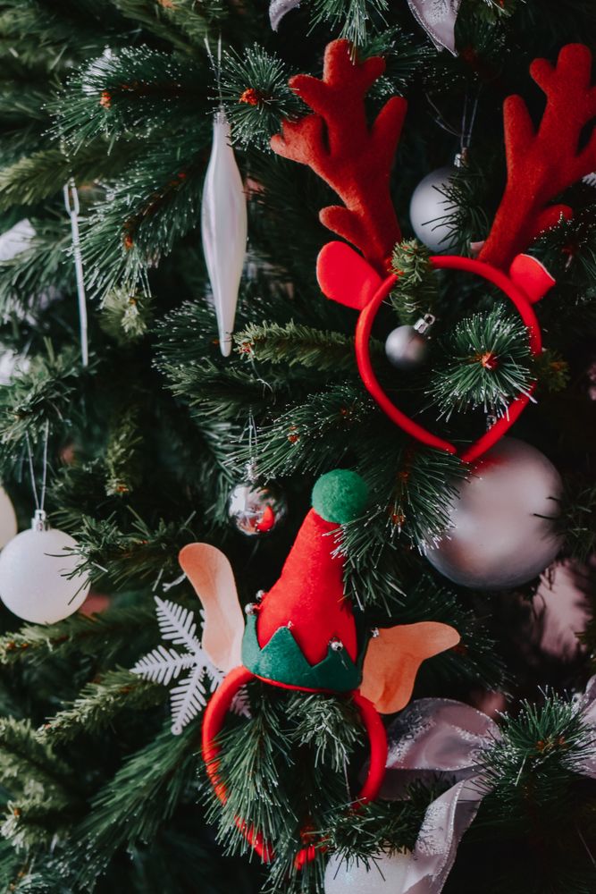 Christmas headwear on tree in close-up