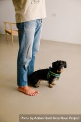 Cute dog standing at man's feet in home 5orNg0