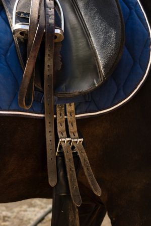 Saddled horse standing in a stable.
