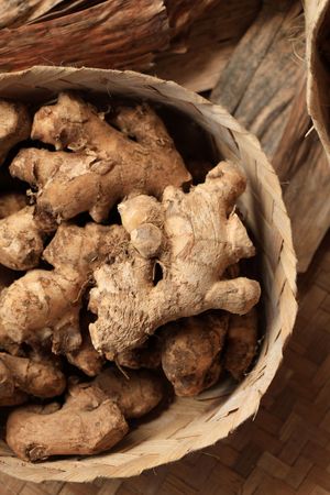 Jahe or Ginger Root, Popular Asian Herbs for Cooking and Healthy Imunity.