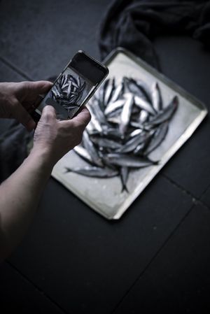Person photographing fresh fish