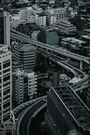 Tokyo's cityscape in grayscale