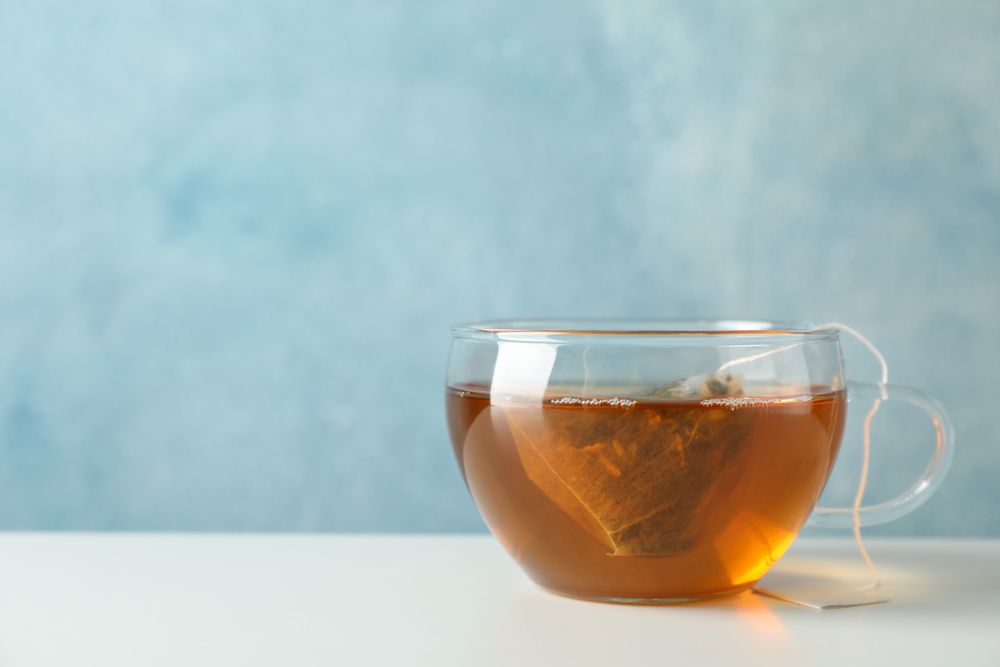 Cup of tea with tea bag on blank background, space for text