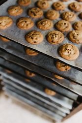 Rack with freshly baked cookies