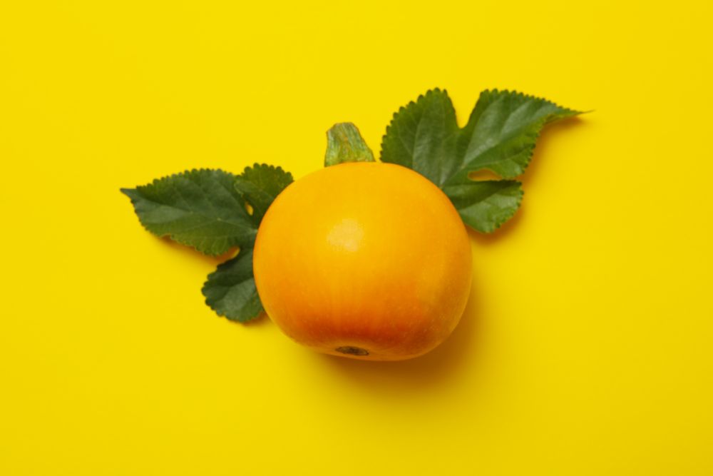 Round zucchini and leaves on yellow background
