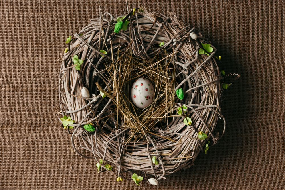 Decorated Easter egg in bird nest