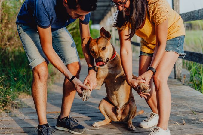 Happy adult couple relaxing with dog at countryside