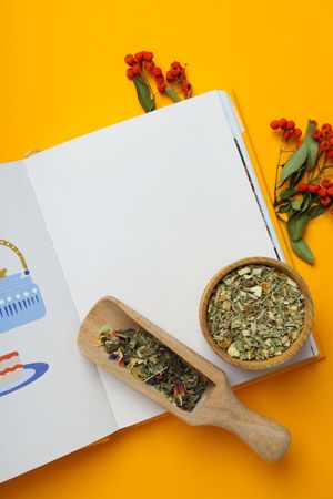 Concept of alternative medicine and alternative medicine books