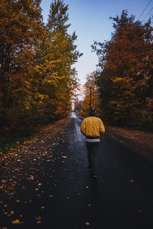 Back view of a person in yellow jacket walking between trees on narrow road