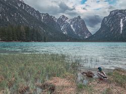 Amazing lake near mountains