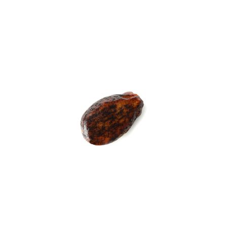 Watermelon seed isolated on plain background. Summer fruit