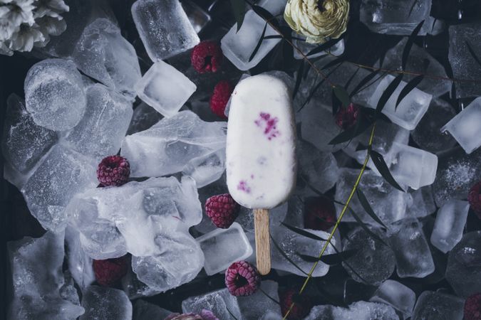 Creamy raspberry popsicle