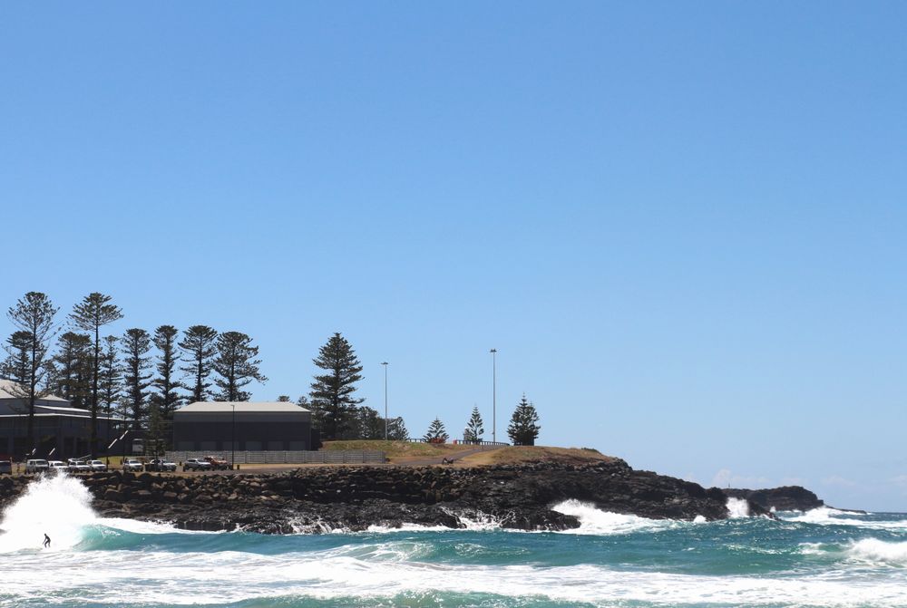 Surfer rides waves near rocky shore with trees under clear blue sky in coastal area