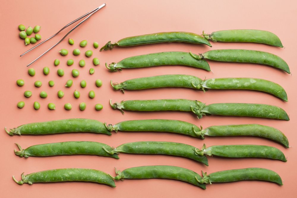 USA flag made with peas and pea pods