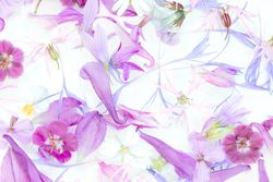 Purple-pink flowers with swirls on light background