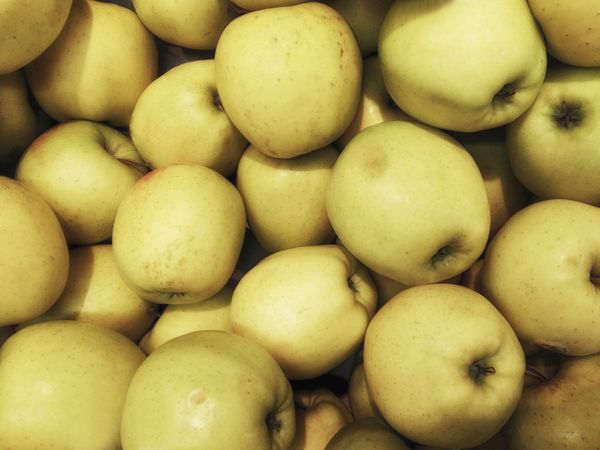 pears