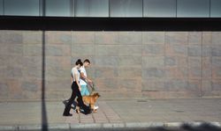 Couple walking and playing with their dog
