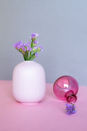 Violet sea lavender flowers in a multicolor background