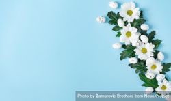 Daisies and Easter eggs on baby blue background bxwxM4