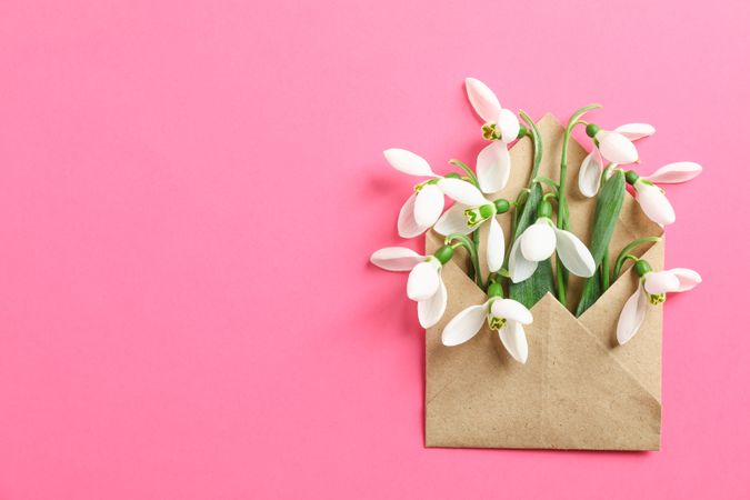 Envelope with snowdrop flowers on color background, space for text