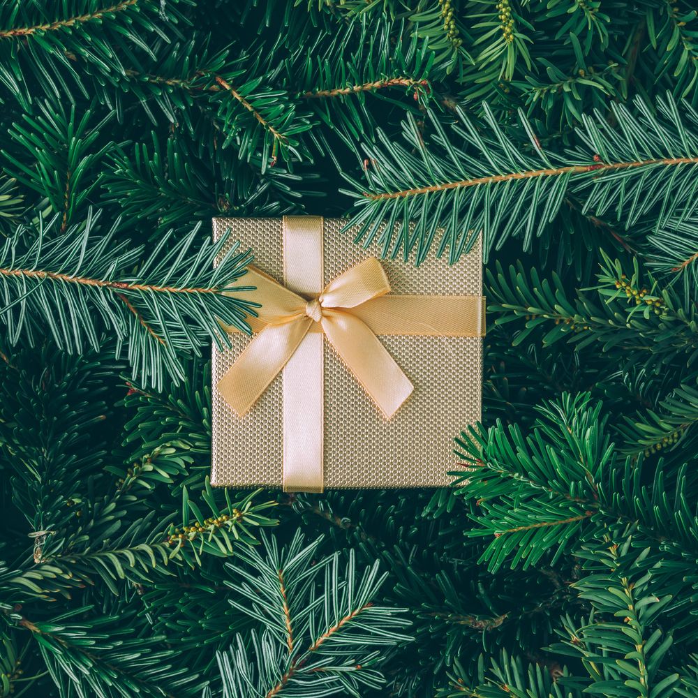 Christmas pine tree branches with brown present with ribbon