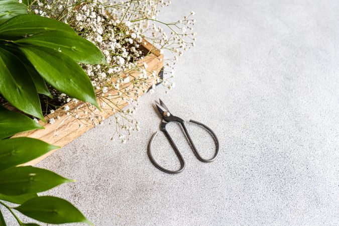 Spring nature flat lay