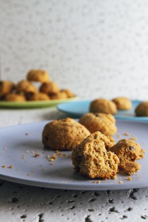 Tasty homemade cookies with chocolate crumbs