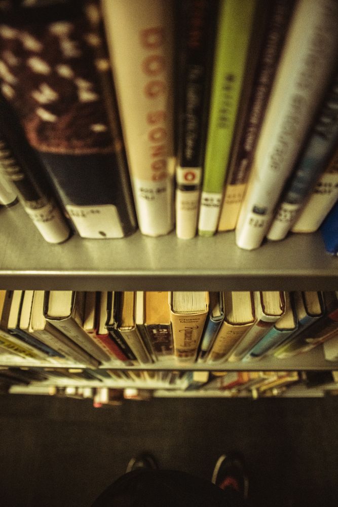 Person standing beside bookshelves