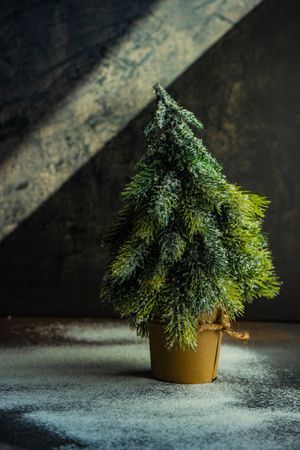 Christmas card concept of mini tree in rustic room