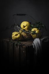 Yellow quinces in basket