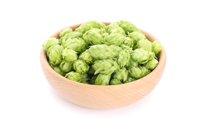 Wooden bowl with hop cones isolated on plain background