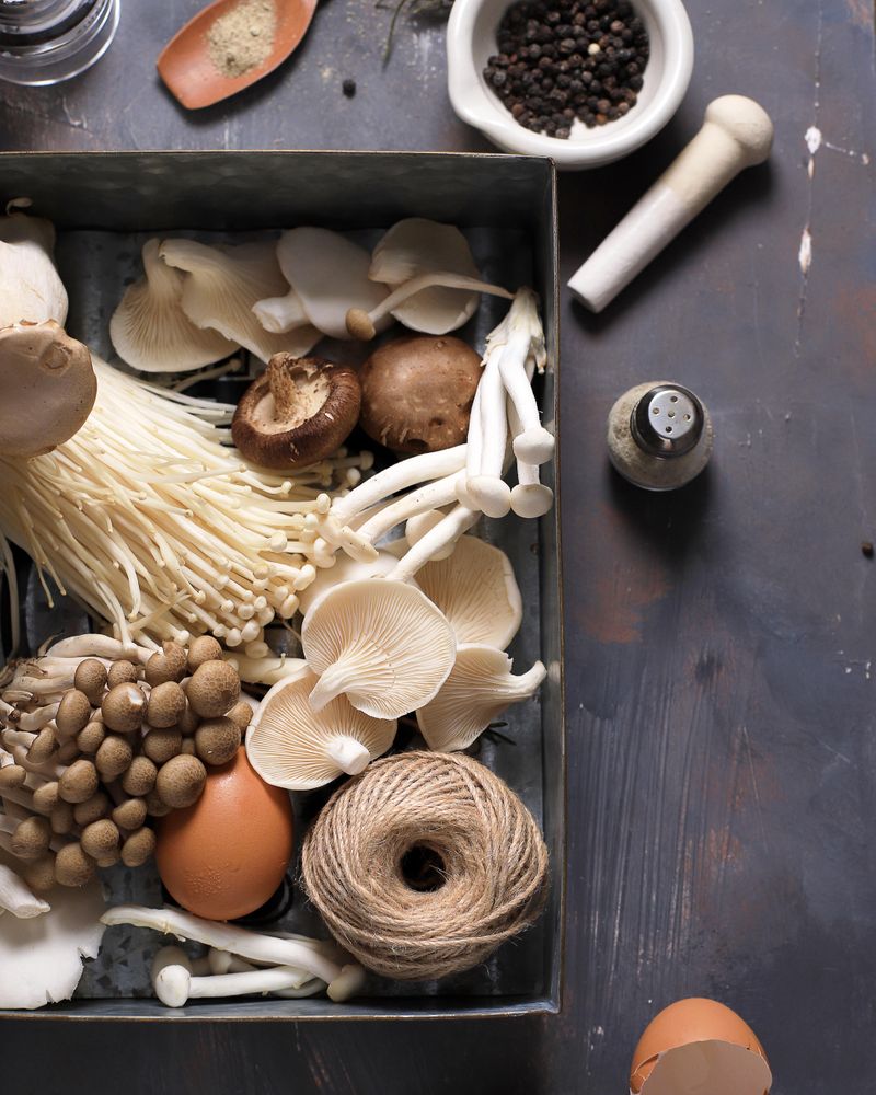 Various Raw Mushroom Types