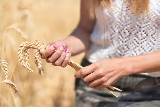 Crop woman with cereal grass in meadow