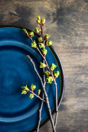 Spring table with navy plate decorated with cherry tree branches