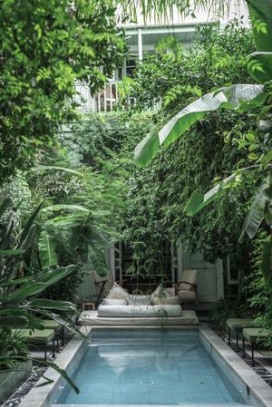 Swimming pool in tropical garden