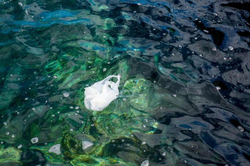 Plastic bag floating on water