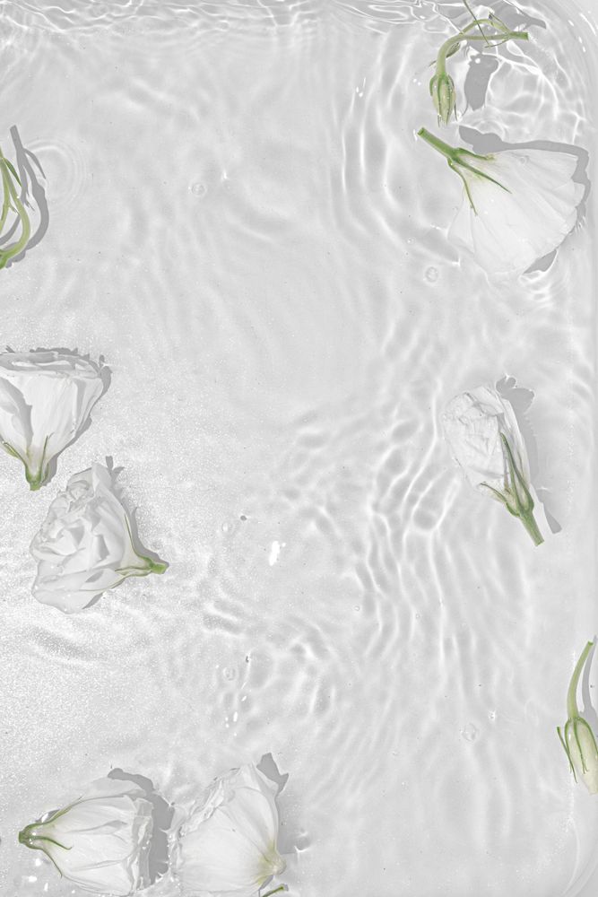 Summer scene with rose flowers bordering water