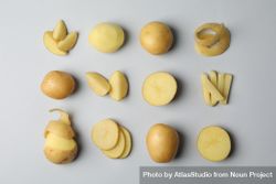 Potatoes cut in different ways arranged in rows 5XoQG0
