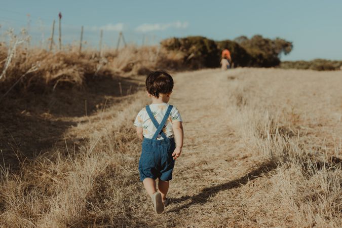 Back of little boy walking in a field