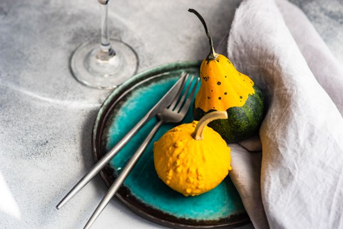 Autumn squashes on colorful plate with knife and fork