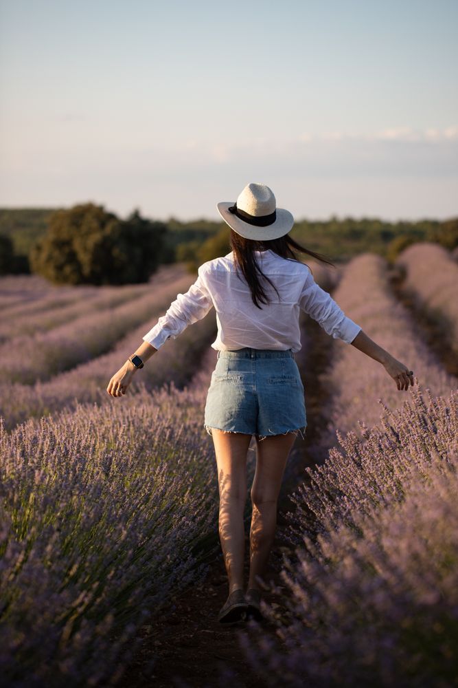 Anonymous woman walking in lavender field