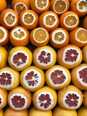 Cut oranges and grapefruits in rows at outdoor market