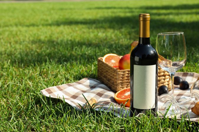 Picnic composition with wine and food against green grass, space for text