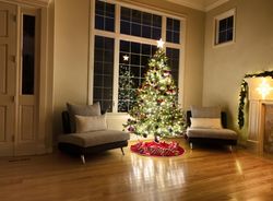 Christmas tree next to window during the night